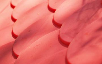 Capel Cross plastic roof costs